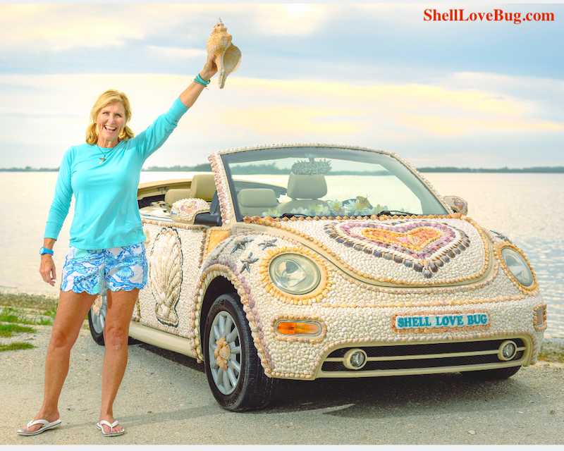 Shell Love Bug has been Freed