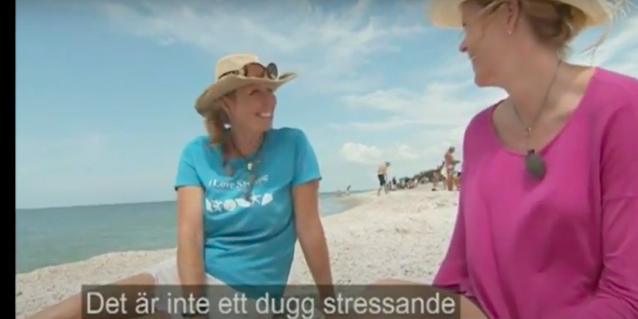 Swedish Television Features i Love Shelling