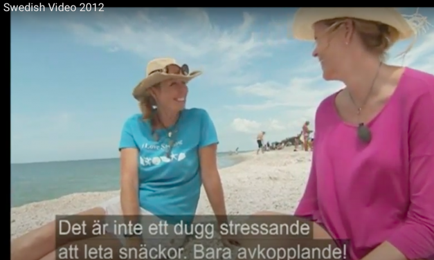 Swedish Television Features i Love Shelling